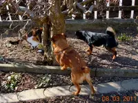 006.webp