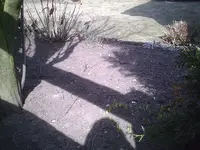 PIC00021.webp