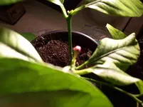100_2619.webp