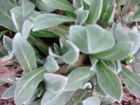 k-DSCF0005.webp