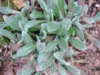 k-DSCF0006.webp