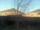 198349_1474881610499_1787461030_869517_5009912_s[1].webp