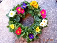 012.webp