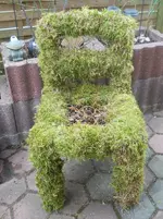 DSCN0570.webp