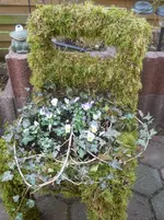 DSCN0577.webp