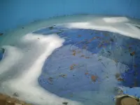 Pool 10.03.2011.webp
