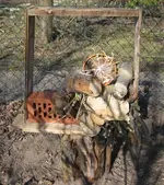 Insektenhotel.webp