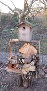 Insektenhotel (2).webp