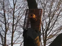 Nistkasten (2).webp