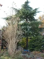 DSCF0015.webp