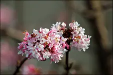 IMG_1900.webp