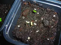 DSCN8878.webp