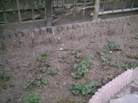PIC00057.webp