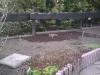 PIC00058.webp