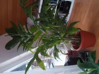 FILE0006.webp