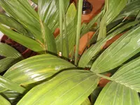 FILE0009.webp