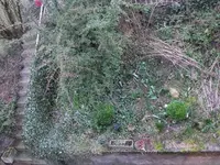 DSCF4085.webp