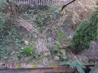 DSCF4086.webp