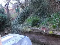 DSCF4089.webp