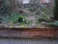 DSCF4095.webp