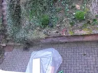 DSCF4087.webp
