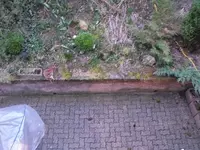 DSCF4088.webp