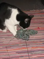 IMG_4030.webp