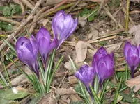 IMG_4010.webp