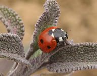 IMG_4002-crop.webp