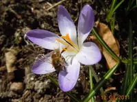 032.webp