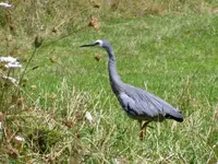 IMG_1719v.webp