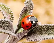 IMG_4002-cropAusflugIMG_4002-crop.webp