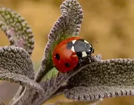IMG_4002-cropAusflugIMG_4002-crop.webp