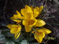 100_2738.webp