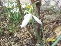 100_2739.webp