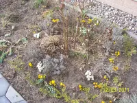 100_2741.webp