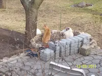 100_2748.webp