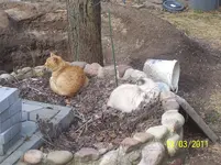100_2749.webp
