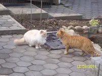 100_2751.webp