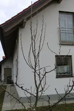 CIMG0257 kleiner.webp