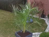 008.webp