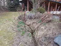 CIMG7820.webp