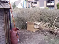 2011 03 12 019.webp