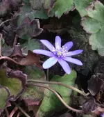 DSCF0925.webp