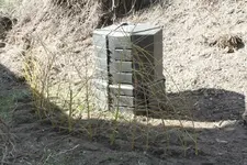 Weidenzaunkl.webp