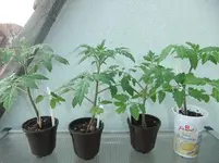 DSCF2493.webp