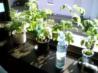 Image_00023.webp