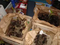 DSC05091web.webp