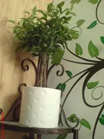 01.webp