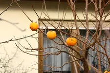 IMG_9331 (2).webp